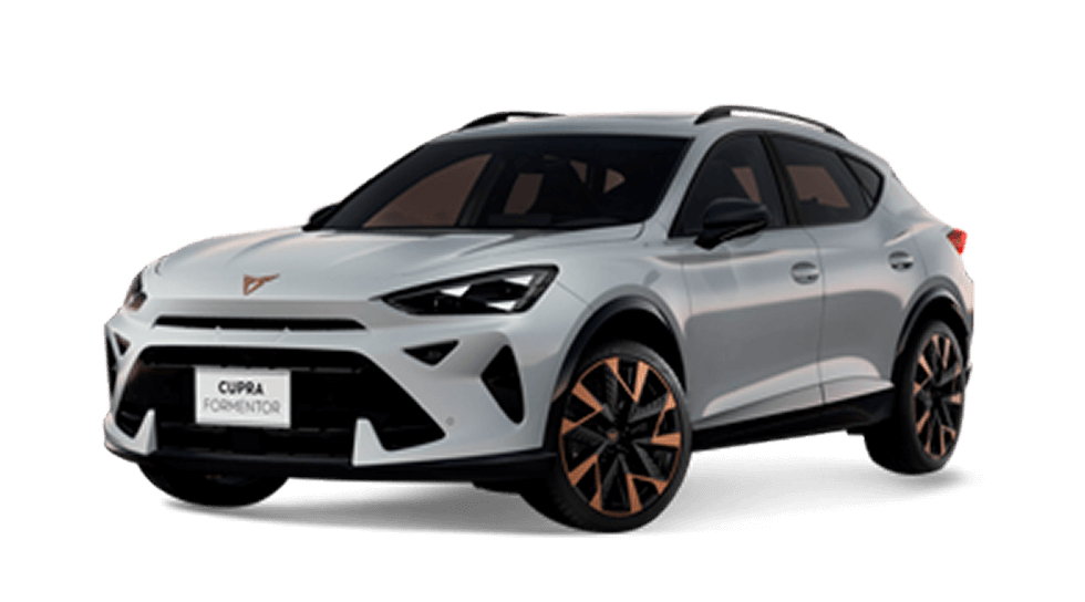 Modelo-CotiRapida-NUEVO-FORMENTOR